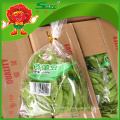 Pois De Neige Frais Sweet Pea Pod New Crop 2015